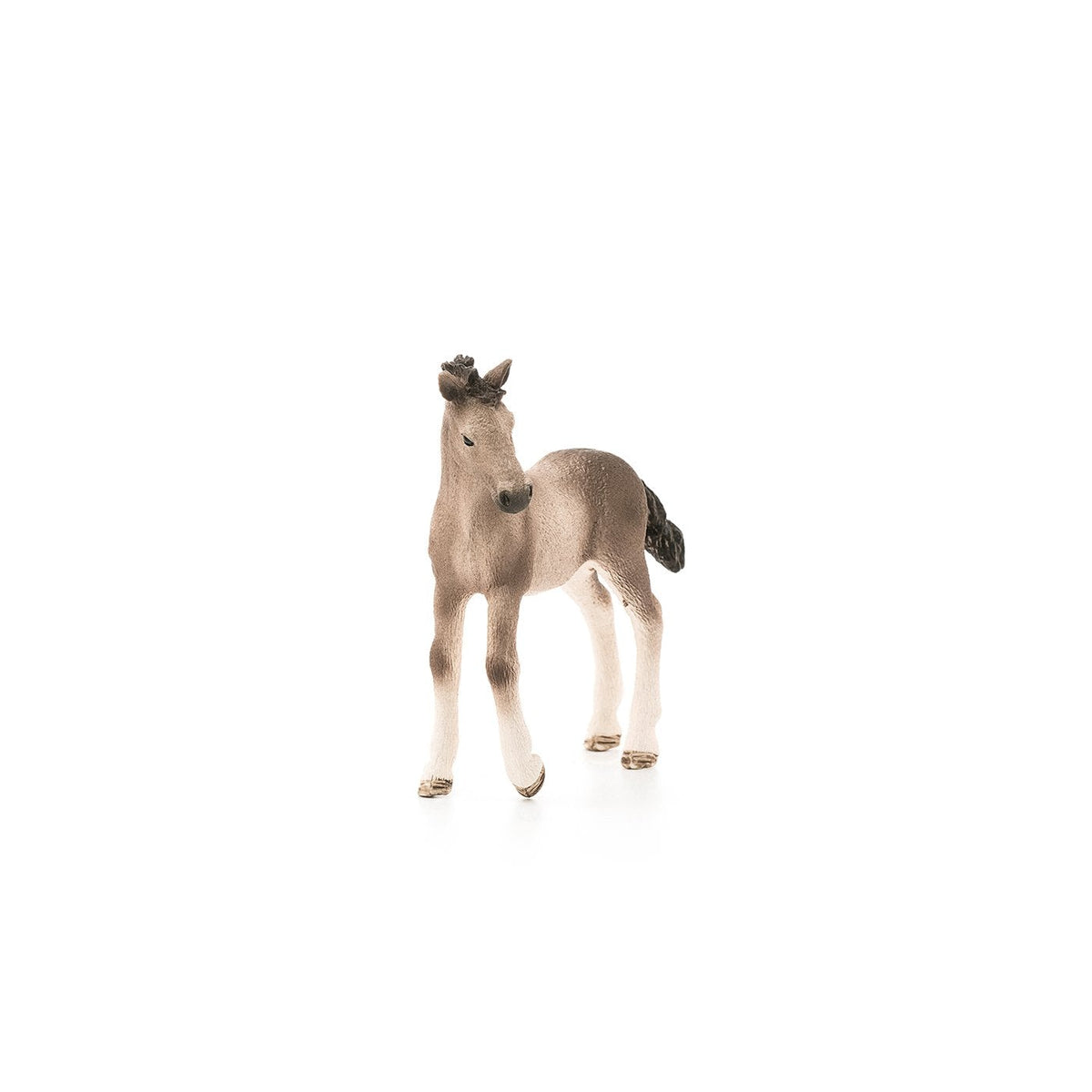 Schleich Andalusian Foal-13822-Animal Kingdoms Toy Store