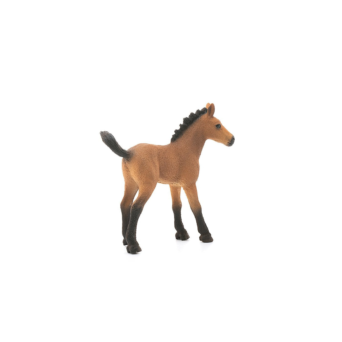 Schleich Quarter Horse Foal-13854-Animal Kingdoms Toy Store