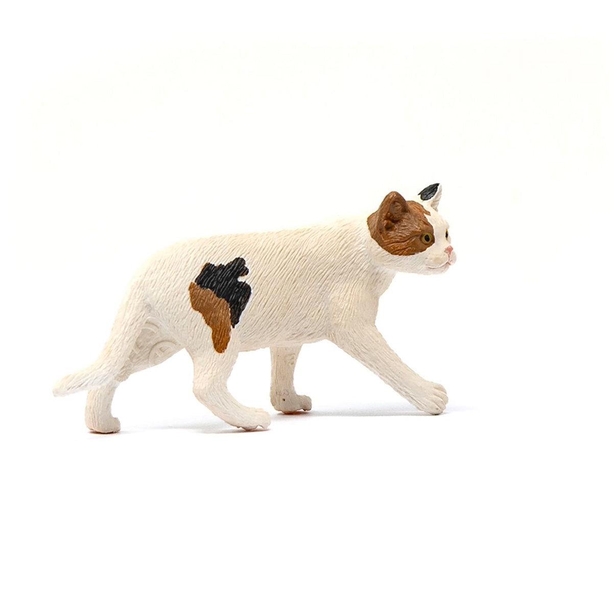 Schleich American Short hair Cat-13894-Animal Kingdoms Toy Store