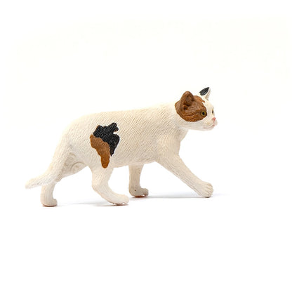 Schleich American Short hair Cat-13894-Animal Kingdoms Toy Store