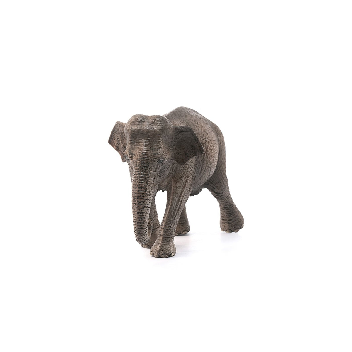 Schleich Asian Elephant Cow-14753-Animal Kingdoms Toy Store