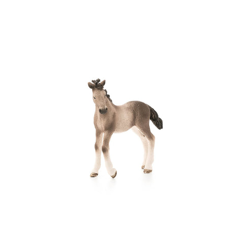 Schleich Andalusian Foal-13822-Animal Kingdoms Toy Store