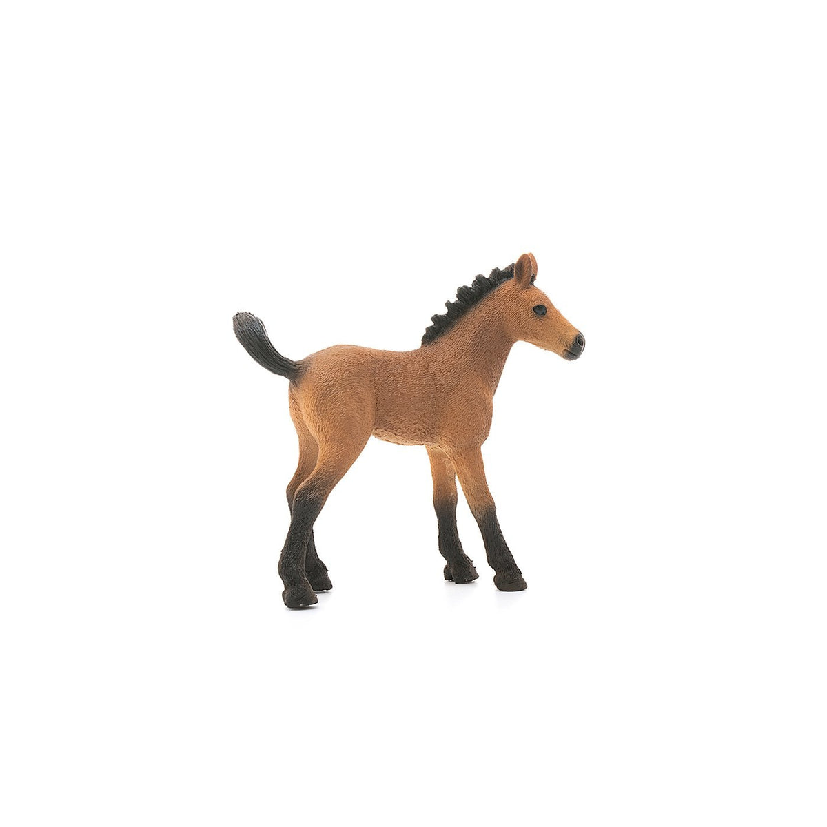 Schleich Quarter Horse Foal-13854-Animal Kingdoms Toy Store