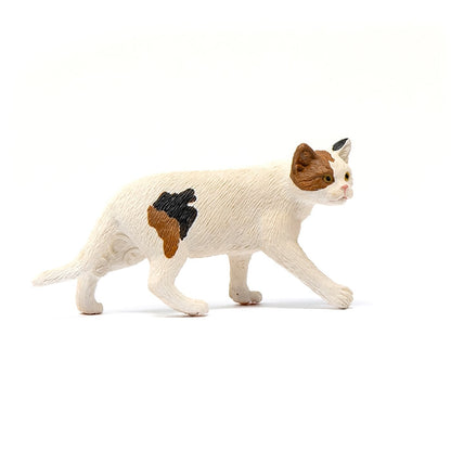 Schleich American Short hair Cat-13894-Animal Kingdoms Toy Store