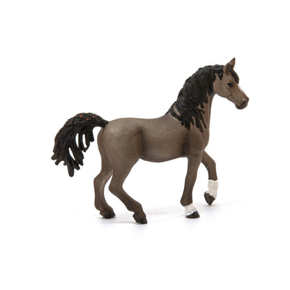 Schleich Arabian Stallion-13907-Animal Kingdoms Toy Store