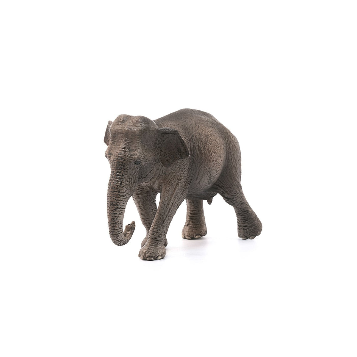 Schleich Asian Elephant Cow-14753-Animal Kingdoms Toy Store