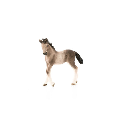 Schleich Andalusian Foal-13822-Animal Kingdoms Toy Store