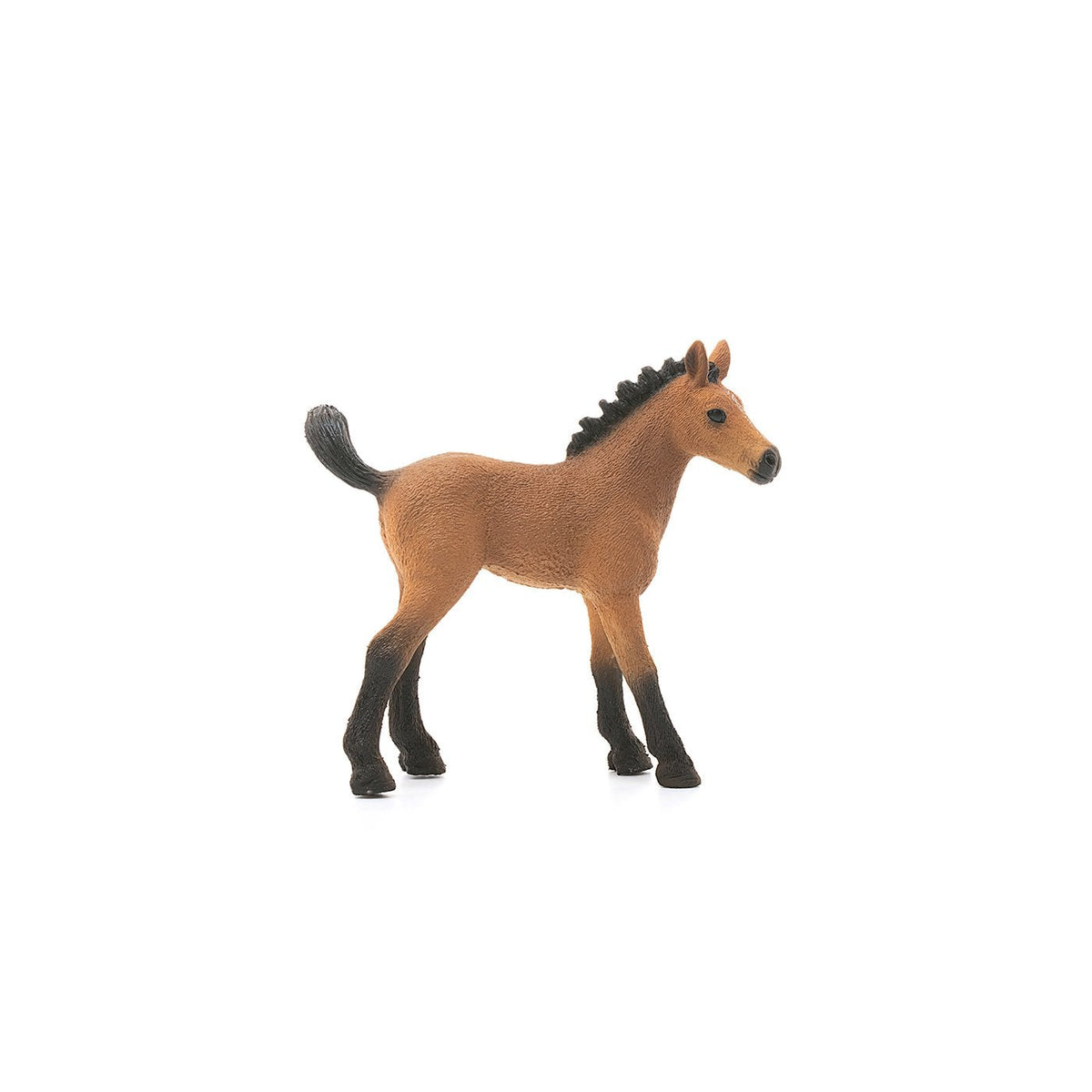 Schleich Quarter Horse Foal-13854-Animal Kingdoms Toy Store
