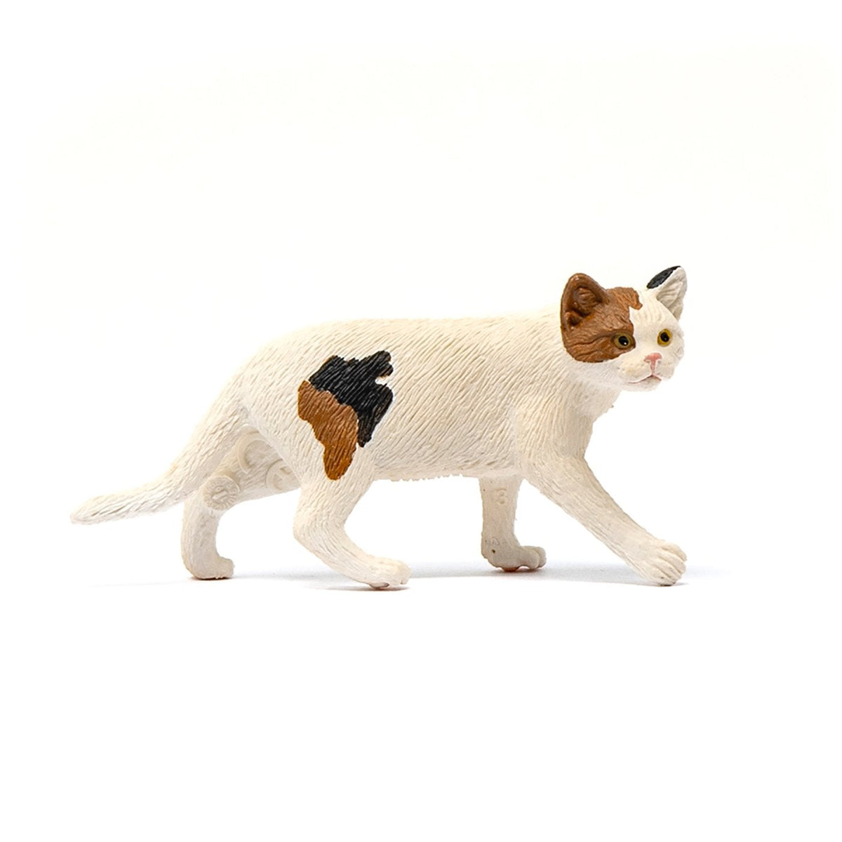 Schleich American Short hair Cat-13894-Animal Kingdoms Toy Store