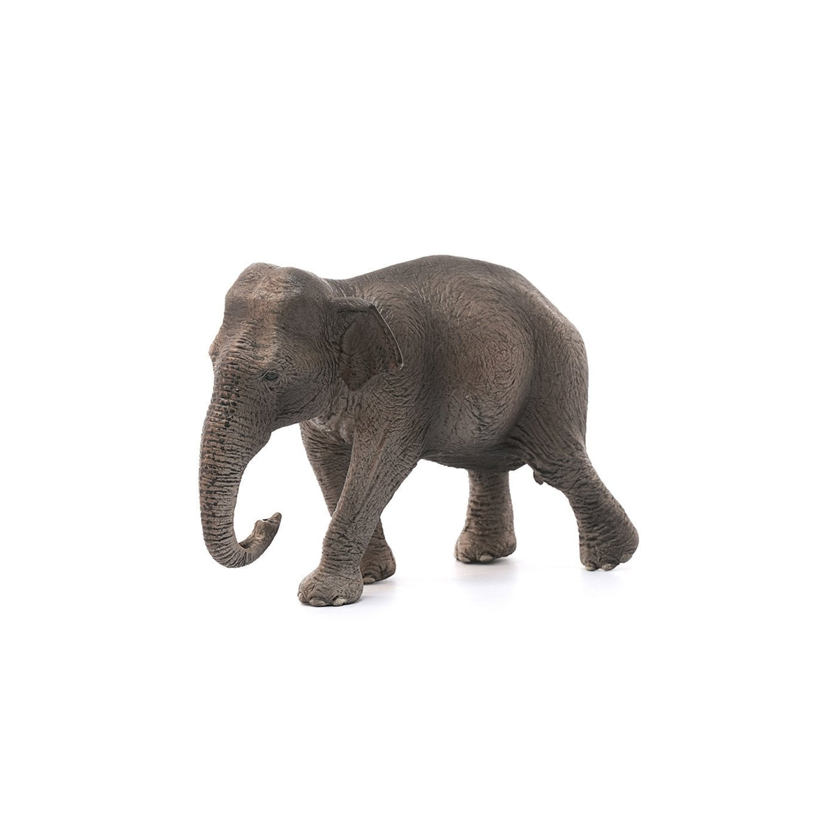 Schleich Asian Elephant Cow-14753-Animal Kingdoms Toy Store