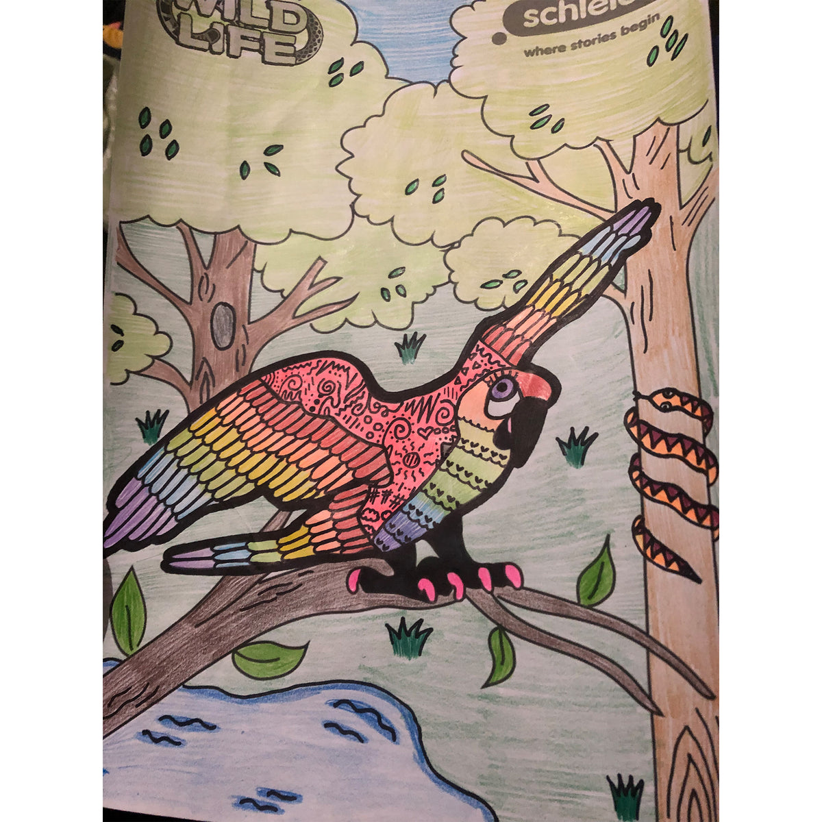 Colouring Competition 2022