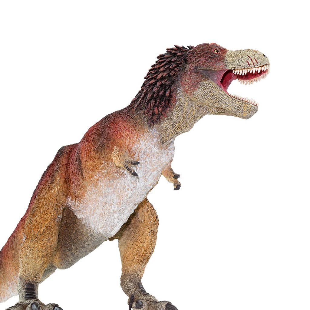 Safari Ltd Feathered Tyrannosaurus Rex-SAF100031-Animal Kingdoms Toy Store