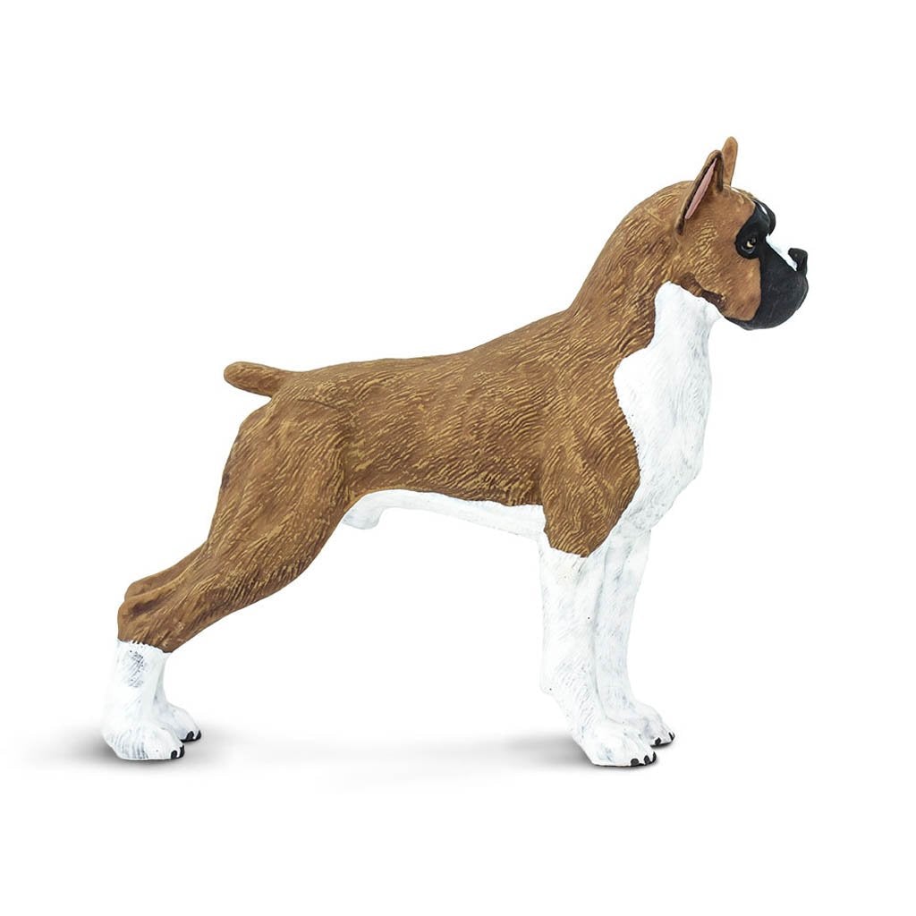 Safari Ltd Boxer-SAF100062-Animal Kingdoms Toy Store