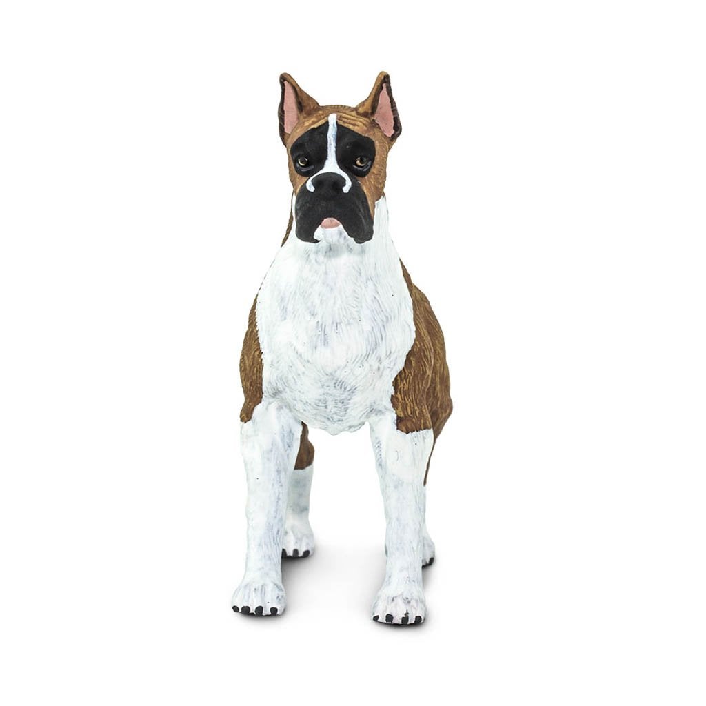 Safari Ltd Boxer-SAF100062-Animal Kingdoms Toy Store