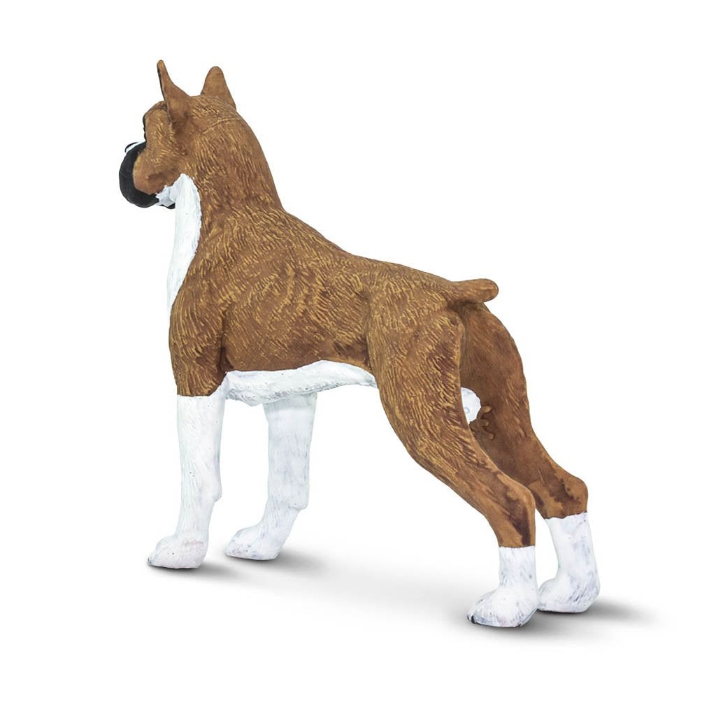 Safari Ltd Boxer-SAF100062-Animal Kingdoms Toy Store