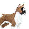 Safari Ltd Boxer-SAF100062-Animal Kingdoms Toy Store