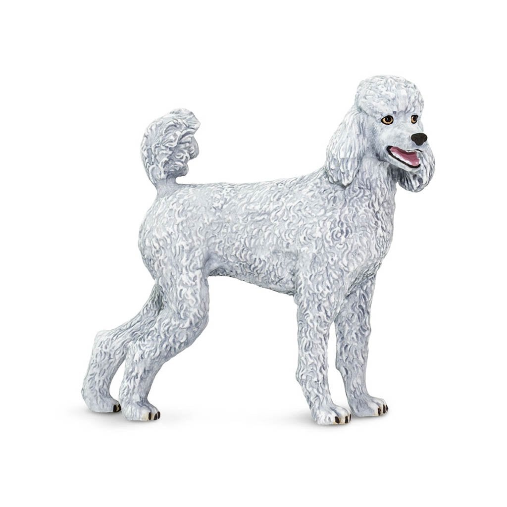 Safari Ltd Poodle-SAF100063-Animal Kingdoms Toy Store