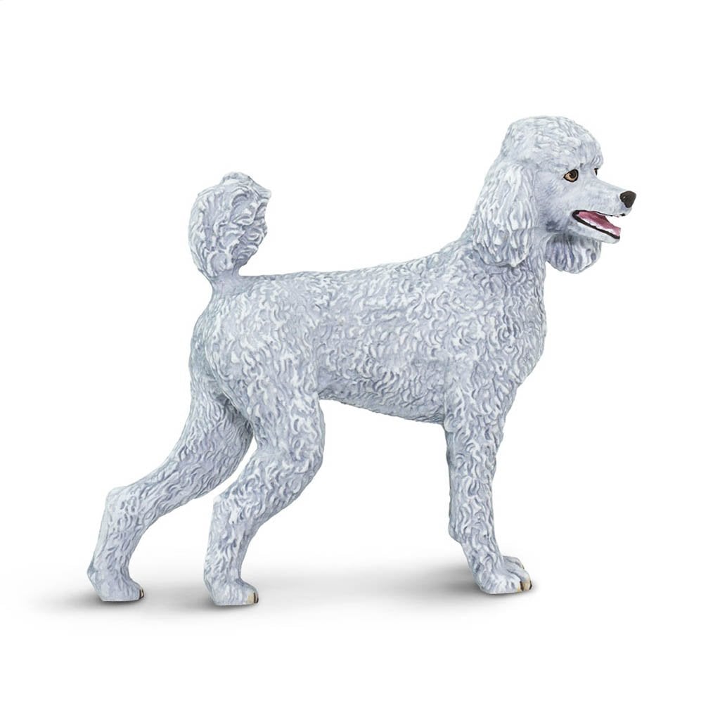 Safari Ltd Poodle-SAF100063-Animal Kingdoms Toy Store