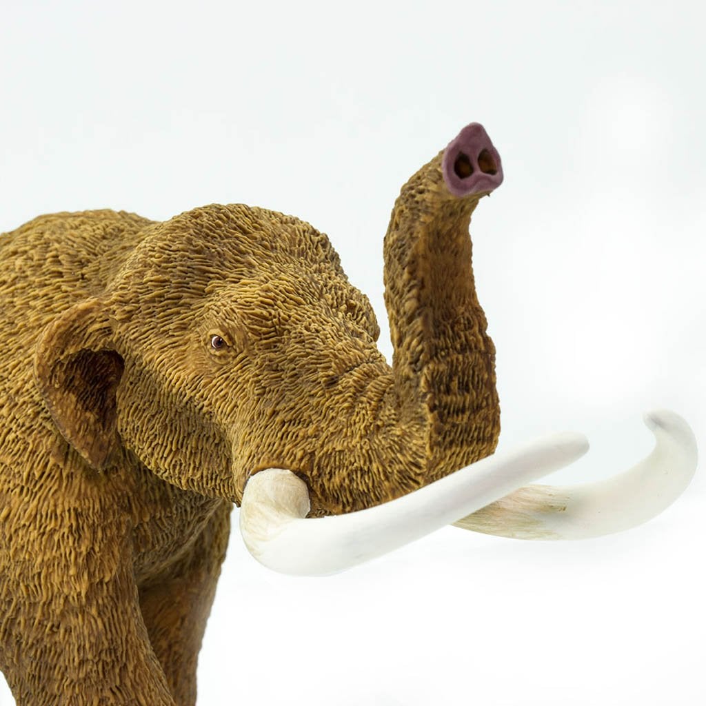 Safari Ltd American Mastodon-SAF100081-Animal Kingdoms Toy Store