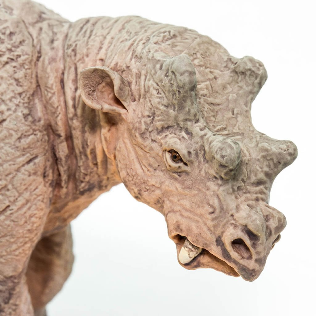 Safari Ltd Uintatherium-SAF100087-Animal Kingdoms Toy Store