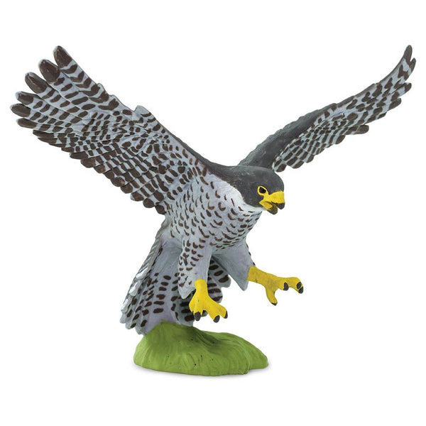 Safari Ltd Peregrine Falcon-SAF100094-Animal Kingdoms Toy Store