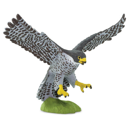 Safari Ltd Peregrine Falcon-SAF100094-Animal Kingdoms Toy Store