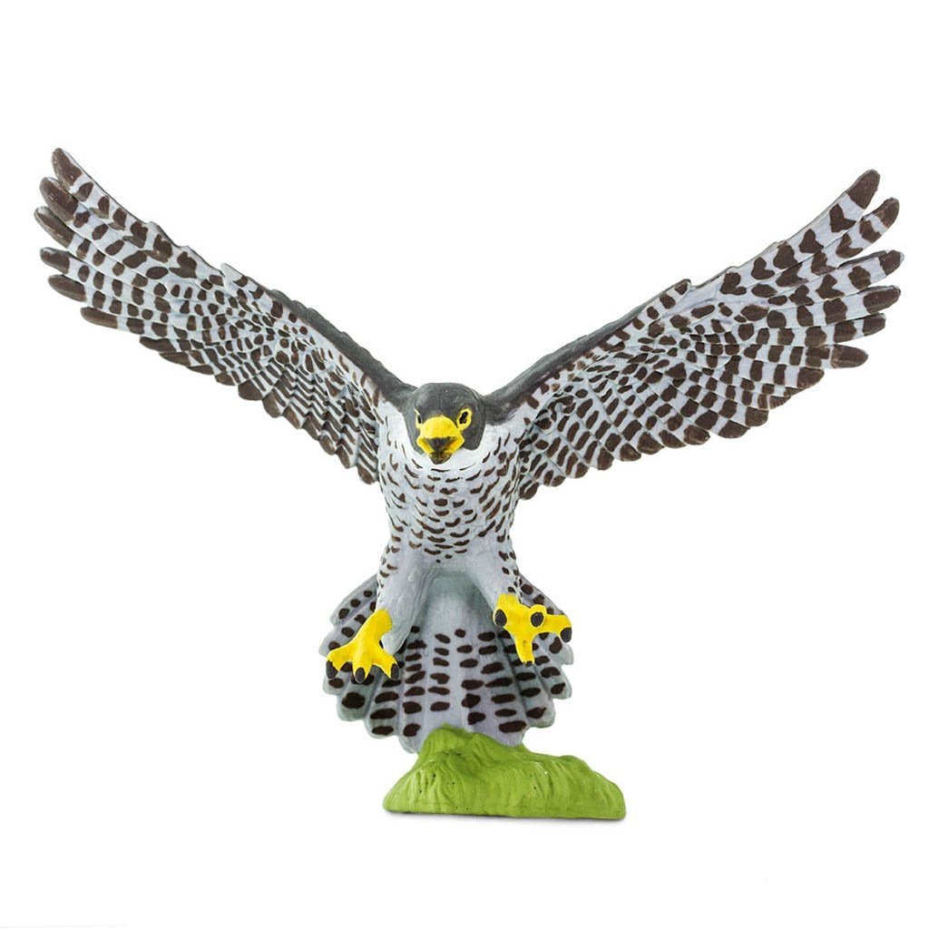 Safari Ltd Peregrine Falcon-SAF100094-Animal Kingdoms Toy Store