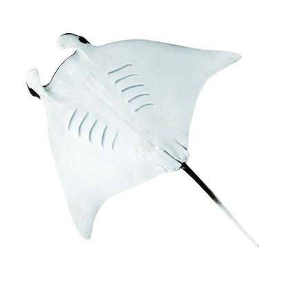 Safari Ltd Manta Ray-SAF100096-Animal Kingdoms Toy Store