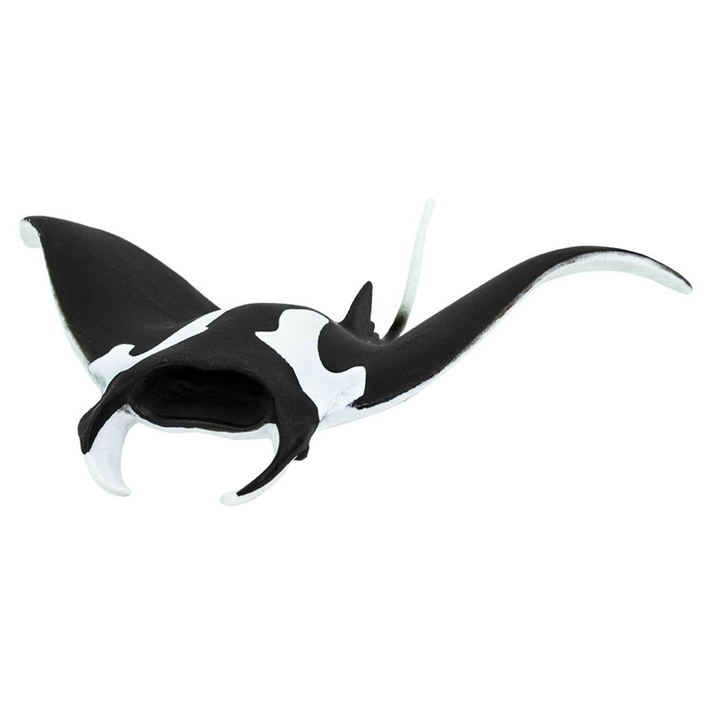 Safari Ltd Manta Ray-SAF100096-Animal Kingdoms Toy Store