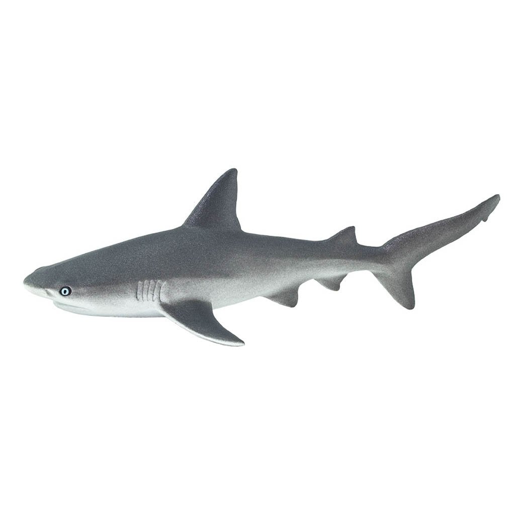 Safari Ltd Gray Reef Shark-SAF100099-Animal Kingdoms Toy Store
