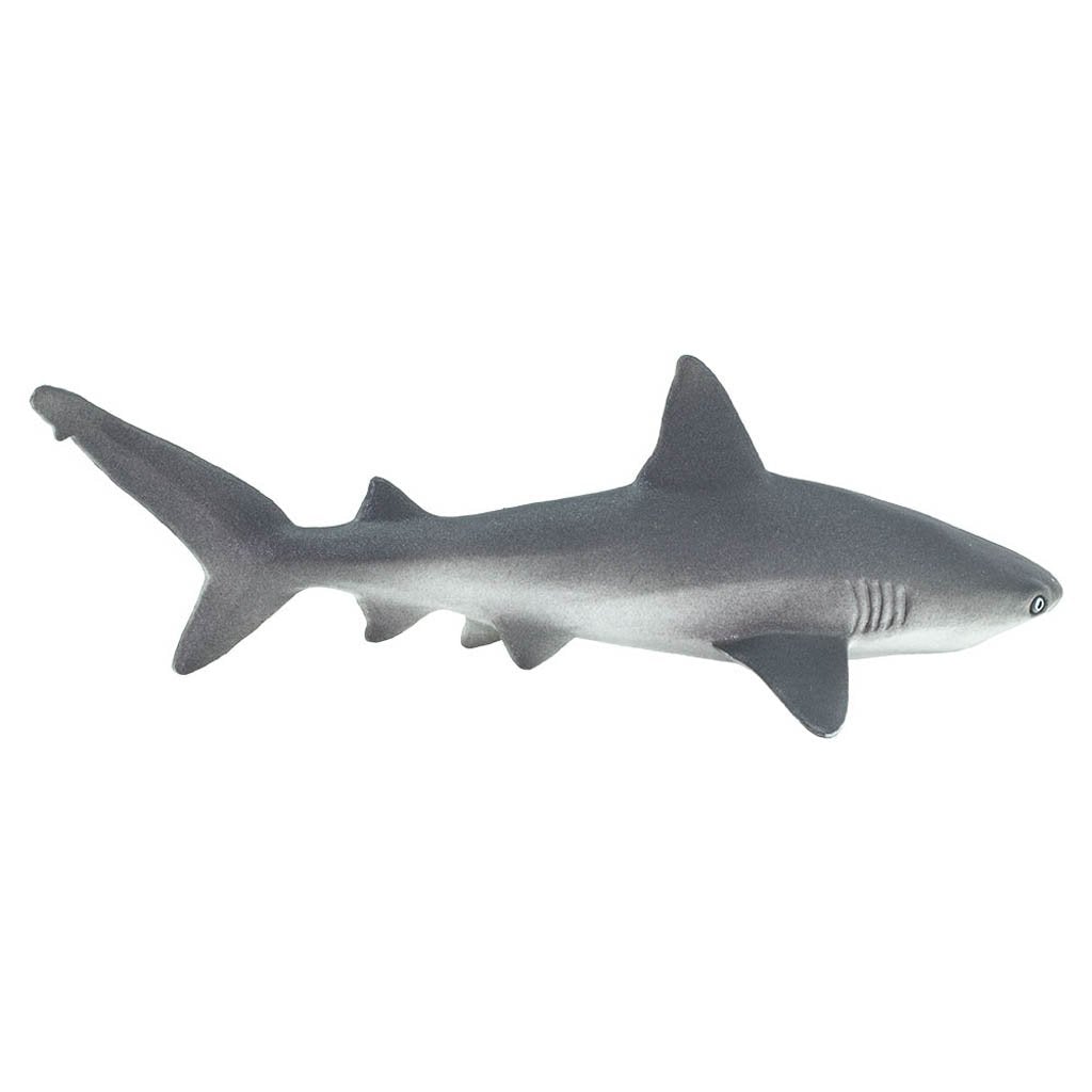 Safari Ltd Gray Reef Shark-SAF100099-Animal Kingdoms Toy Store