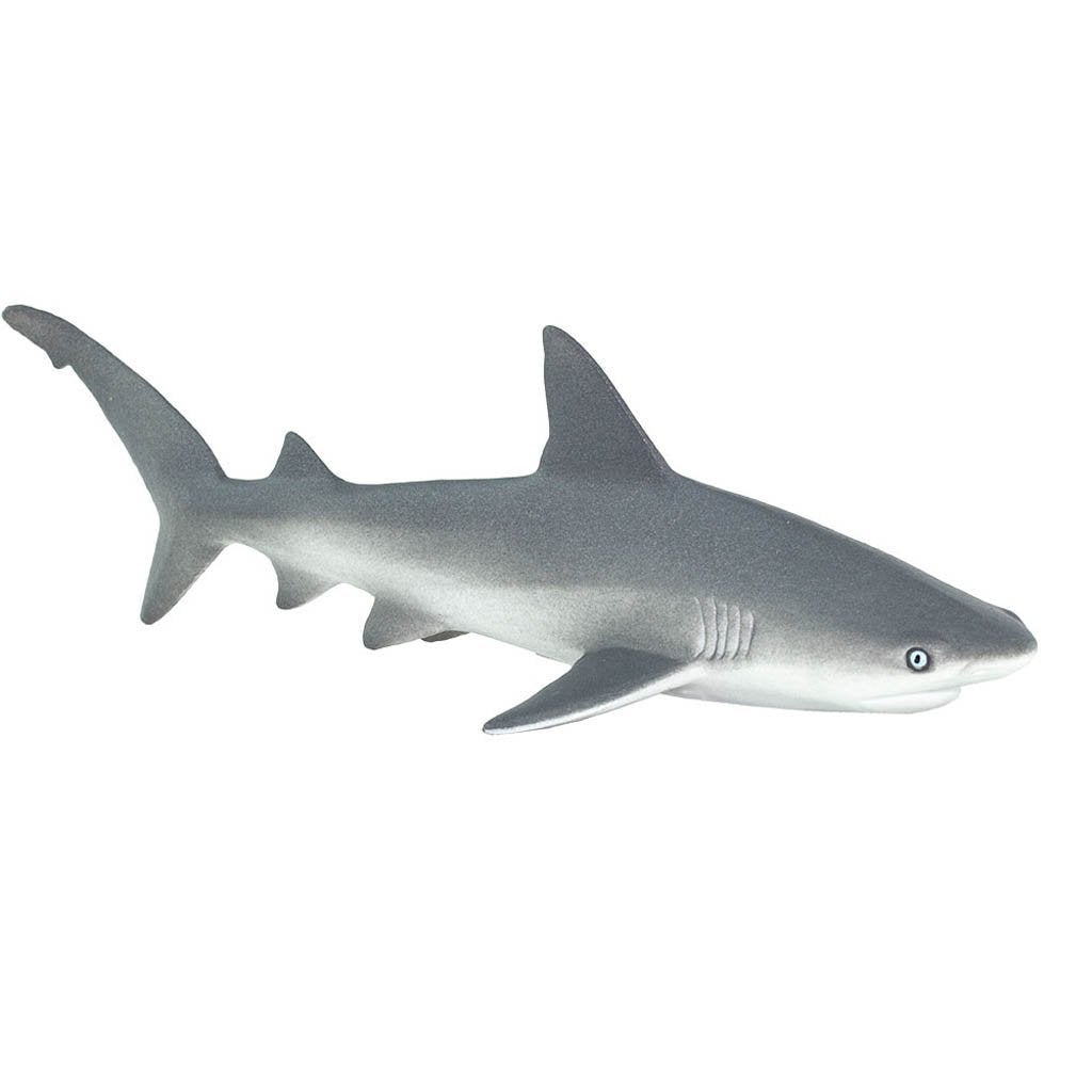 Safari Ltd Gray Reef Shark-SAF100099-Animal Kingdoms Toy Store