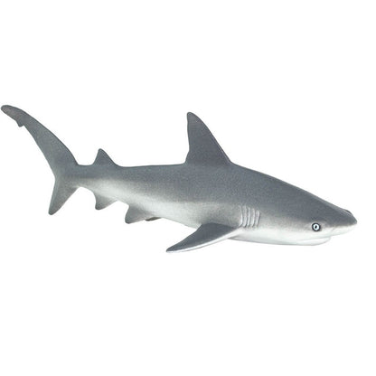 Safari Ltd Gray Reef Shark-SAF100099-Animal Kingdoms Toy Store