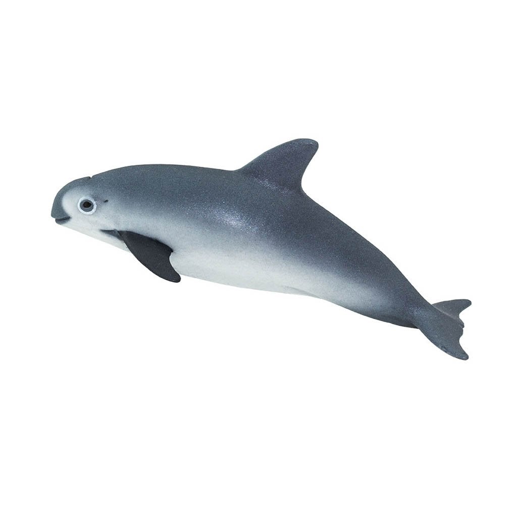 Safari Ltd Vaquita Porpoise-SAF100101-Animal Kingdoms Toy Store