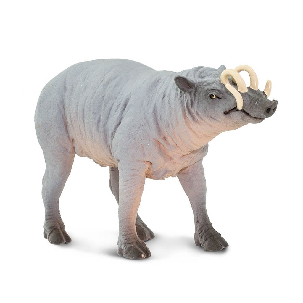 Safari Ltd Babirusa-SAF100102-Animal Kingdoms Toy Store
