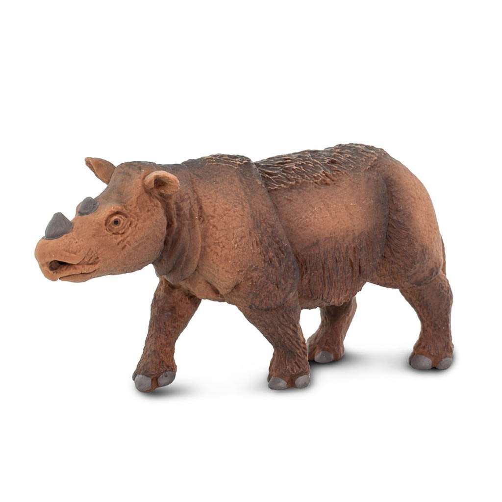 Safari Ltd Sumatran Rhino-SAF100103-Animal Kingdoms Toy Store
