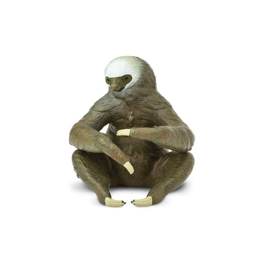 Safari Ltd Two-Toed Sloth-SAF100117-Animal Kingdoms Toy Store