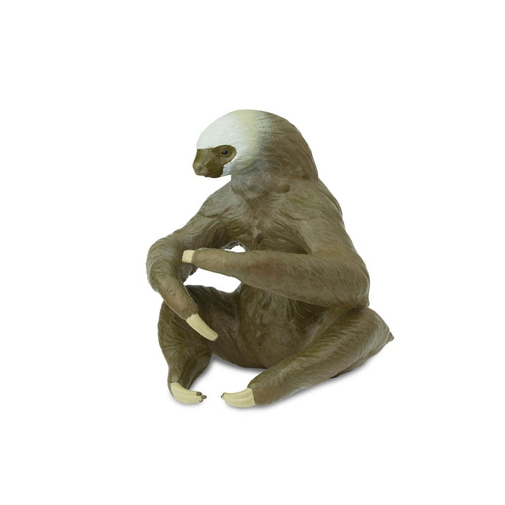 Safari Ltd Two-Toed Sloth-SAF100117-Animal Kingdoms Toy Store