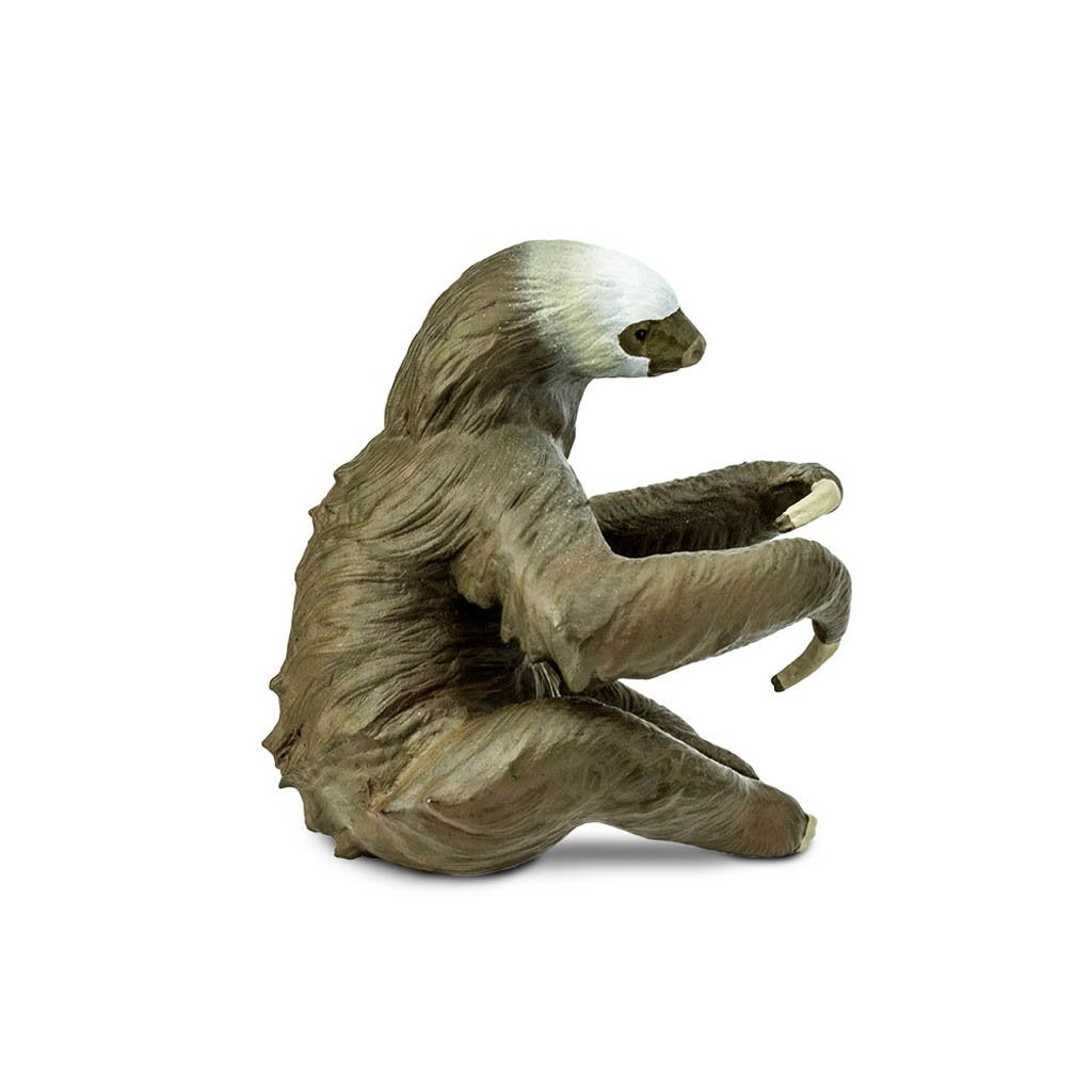 Safari Ltd Two-Toed Sloth-SAF100117-Animal Kingdoms Toy Store