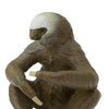 Safari Ltd Two-Toed Sloth-SAF100117-Animal Kingdoms Toy Store