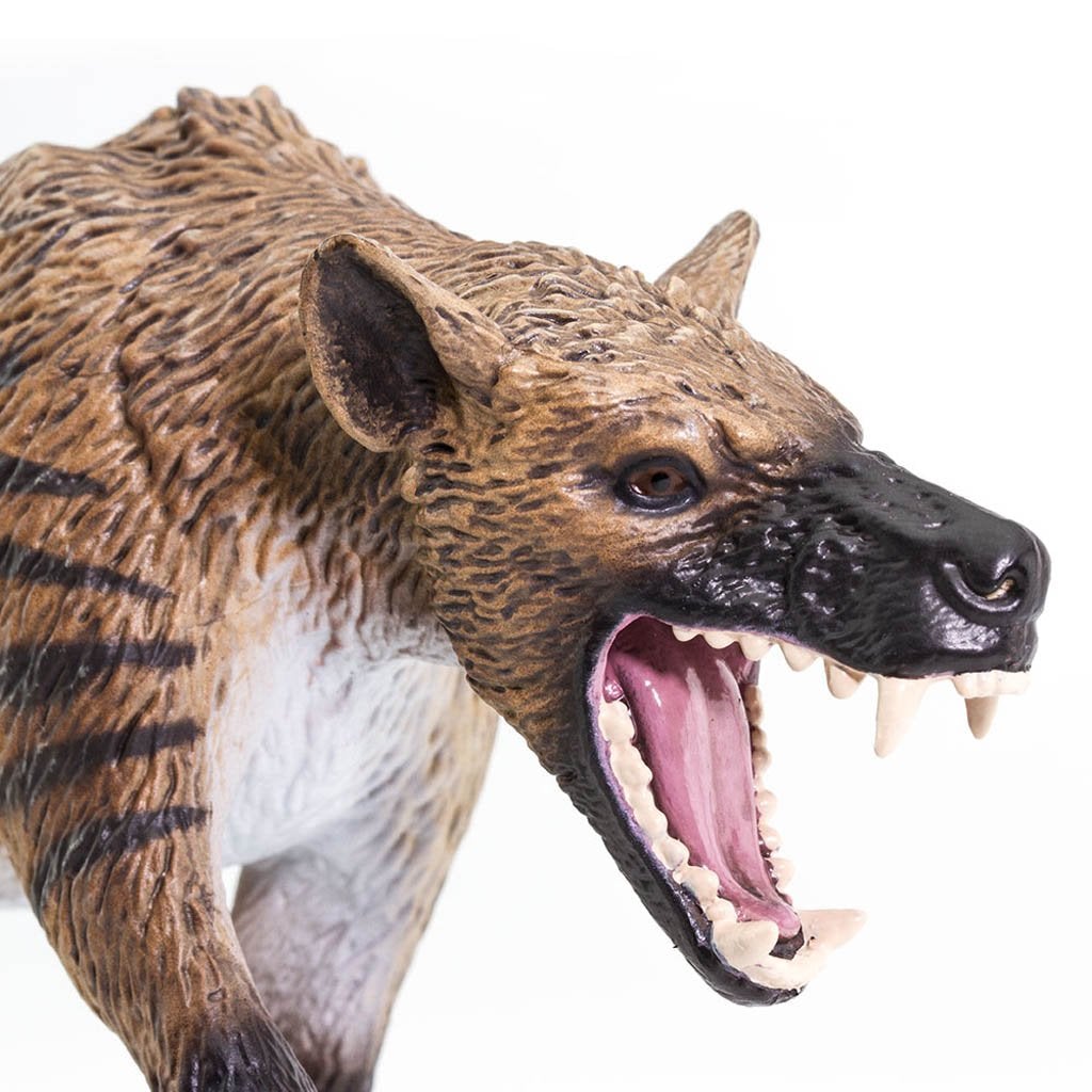Safari Ltd Hyaenodon Gigas-SAF100126-Animal Kingdoms Toy Store
