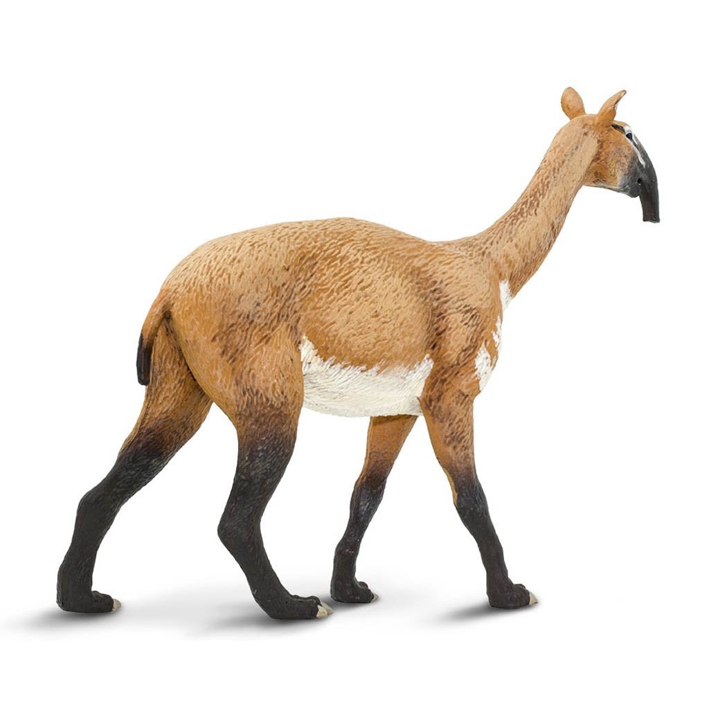 Safari Ltd Macrauchenia-SAF100127-Animal Kingdoms Toy Store