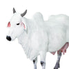 Safari Ltd Ongole Cow-SAF100150-Animal Kingdoms Toy Store