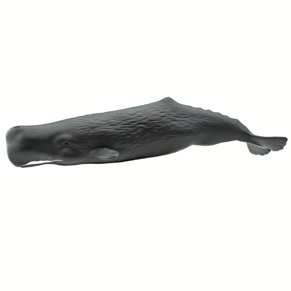 Safari Ltd Sperm Whale-SAF100209-Animal Kingdoms Toy Store