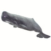 Safari Ltd Sperm Whale-SAF100209-Animal Kingdoms Toy Store