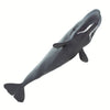 Safari Ltd Sperm Whale-SAF100209-Animal Kingdoms Toy Store