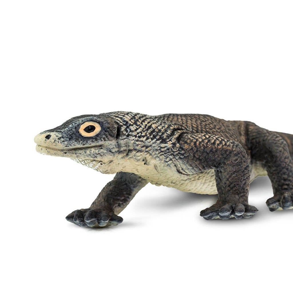 Safari Ltd Komodo Dragon-SAF100263-Animal Kingdoms Toy Store