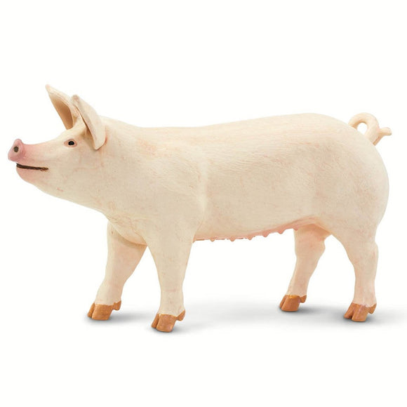 Safari Ltd Large White Pig-SAF100269-Animal Kingdoms Toy Store