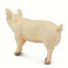 Safari Ltd Large White Pig-SAF100269-Animal Kingdoms Toy Store