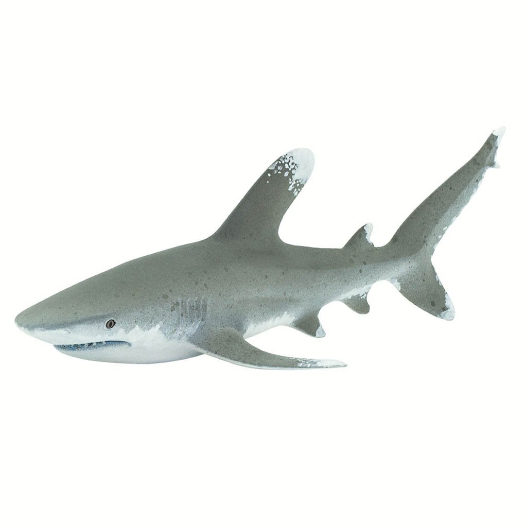 Safari Ltd Ocean Whitetip Shark-SAF100271-Animal Kingdoms Toy Store